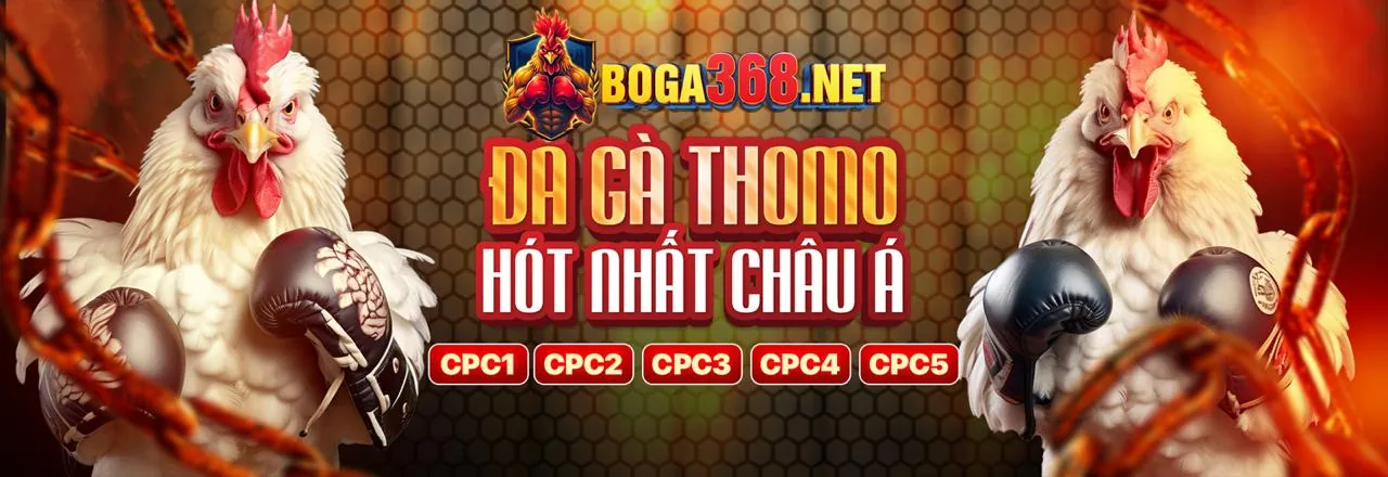 Đá gà trực tuyến Dwin68 - Trận đấu kịch tính